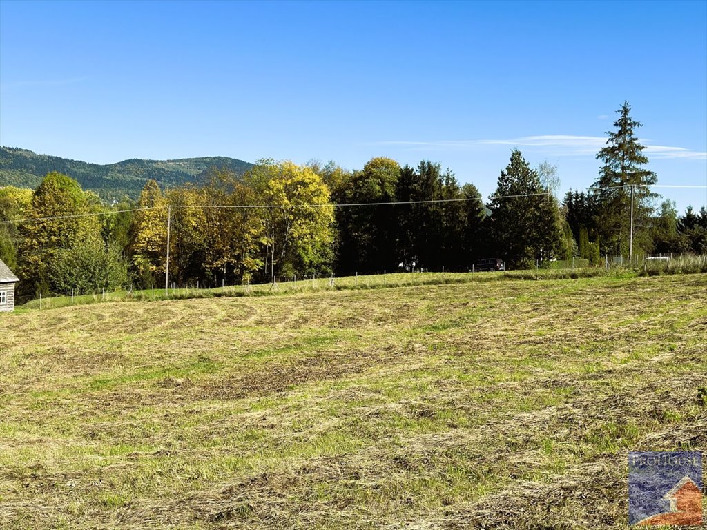 Działka budowlana na sprzedaż Pisarzowa  4 873m2 Foto 11