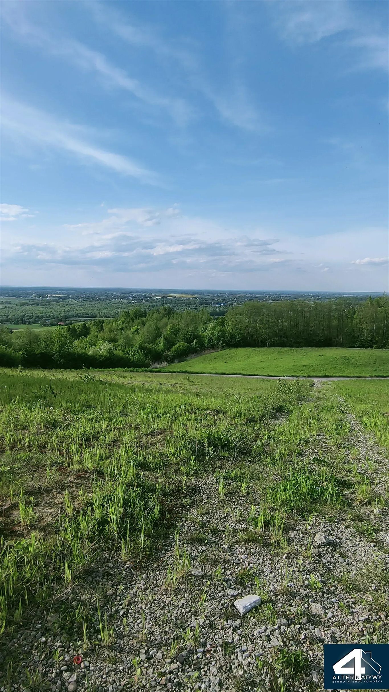 Działka rekreacyjna na sprzedaż Szczepanowice  7 900m2 Foto 3