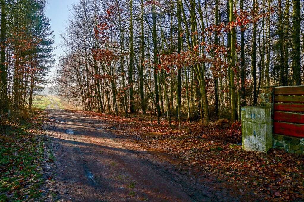 Działka budowlana na sprzedaż Waleriany  1 701m2 Foto 1