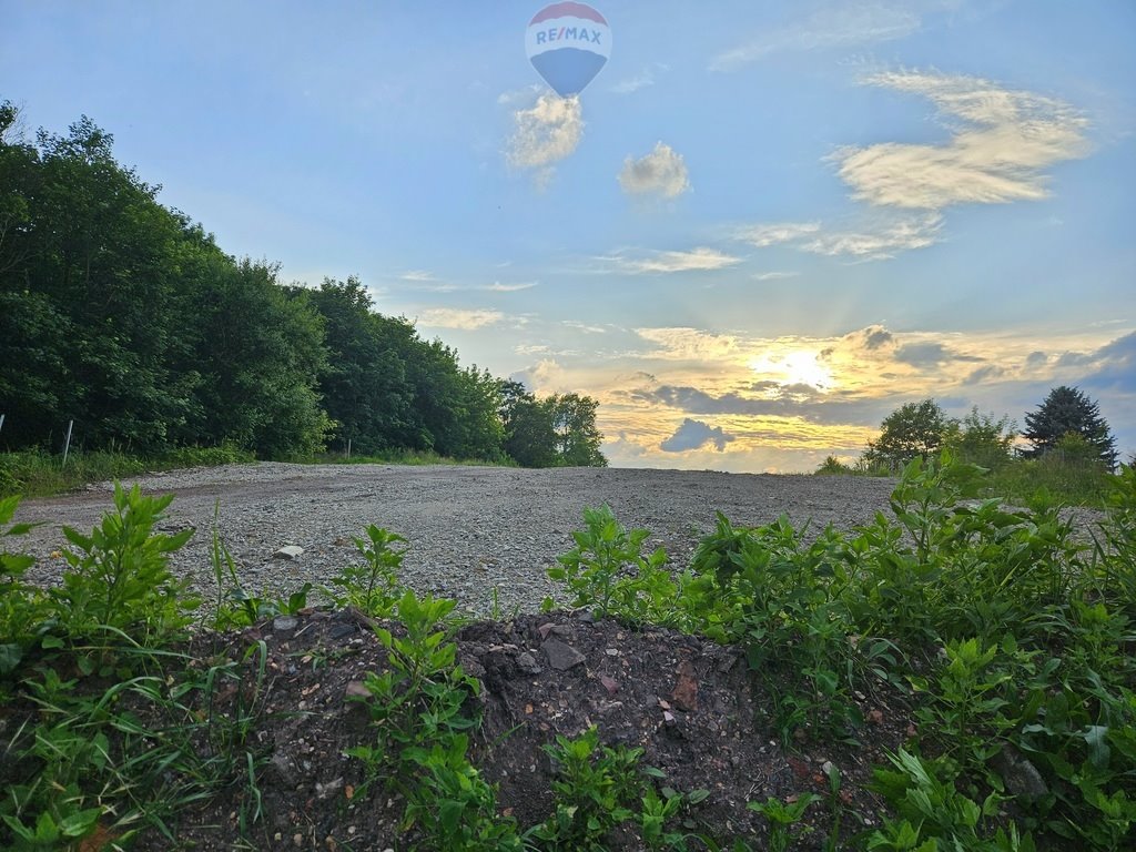 Działka inwestycyjna na sprzedaż Siemianowice Śląskie, Bańgów, Zwycięstwa  9 538m2 Foto 11