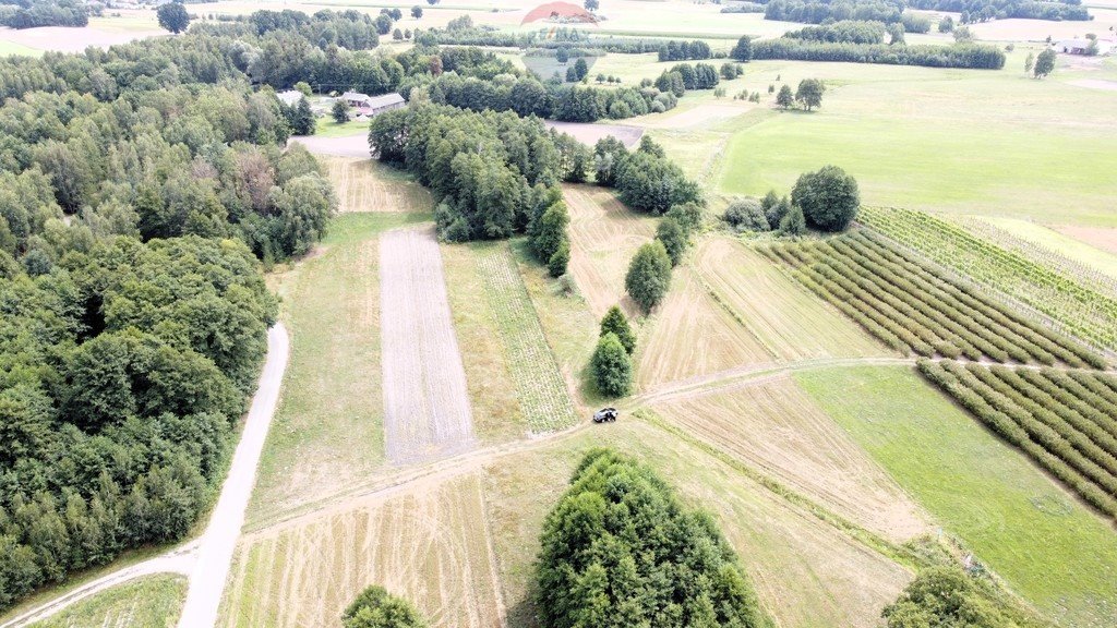 Działka budowlana na sprzedaż Kazanów  49 300m2 Foto 9