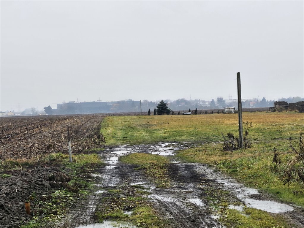 Działka budowlana na sprzedaż Lubiczów  1 513m2 Foto 4