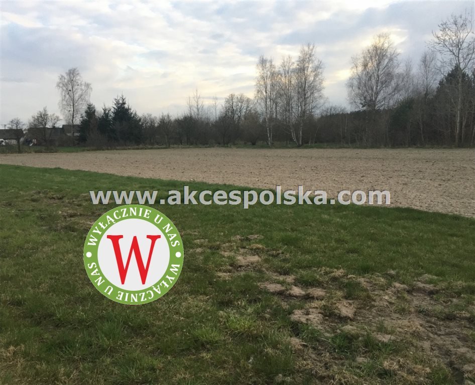 Działka inna na sprzedaż Zieleniec, Józefów  11 800m2 Foto 10