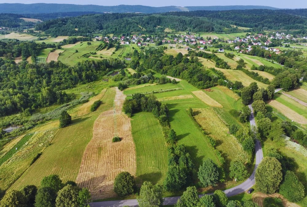 Działka rolna na sprzedaż Jankowce  2 900m2 Foto 2