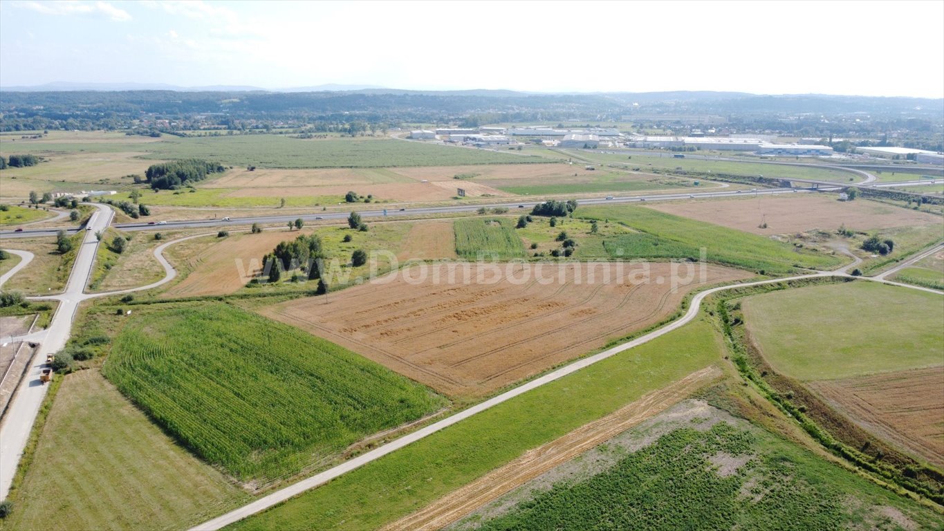 Działka przemysłowo-handlowa na sprzedaż Krzeczów  33 222m2 Foto 8