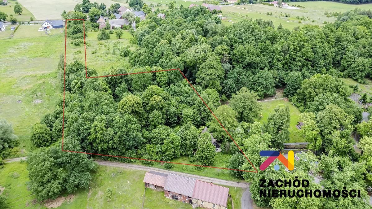Zapraszam do obejrzenia działki z budynkami i lasem w Guzowie Guzów  11 512m2 Foto 1