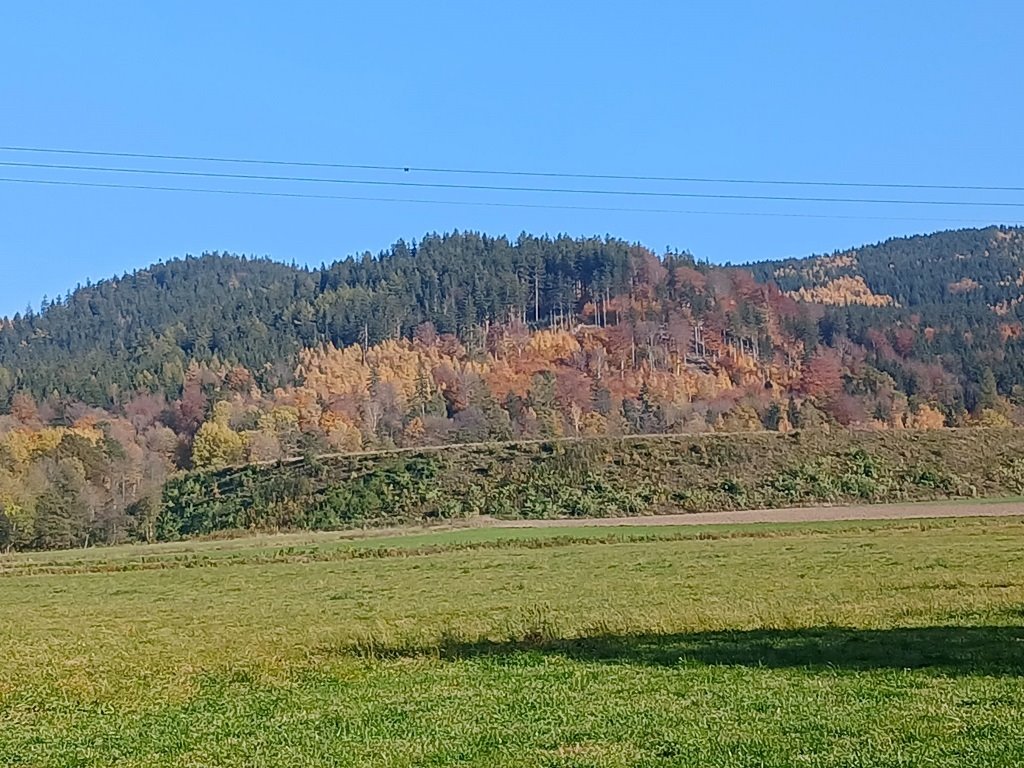 Działka budowlana na sprzedaż Kowary, Tadeusza Rejtana  4 732m2 Foto 2