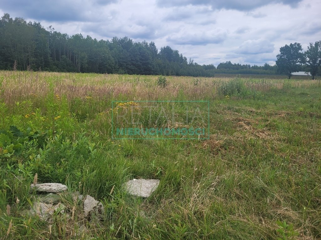 Działka budowlana na sprzedaż Bieniewiec  1 435m2 Foto 3