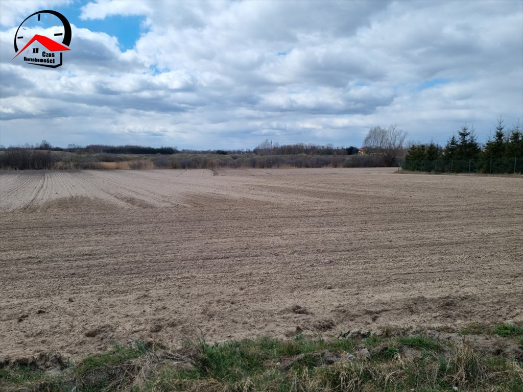 Działka budowlana na sprzedaż Izdebno  7 900m2 Foto 2