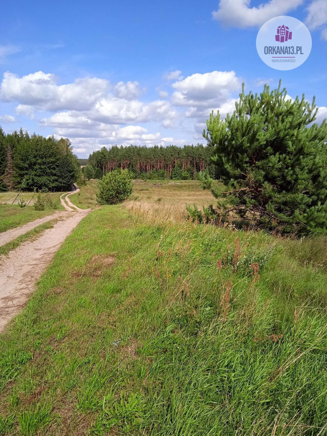 Działka rolna na sprzedaż Biesówko, Biesówko  4 093m2 Foto 6