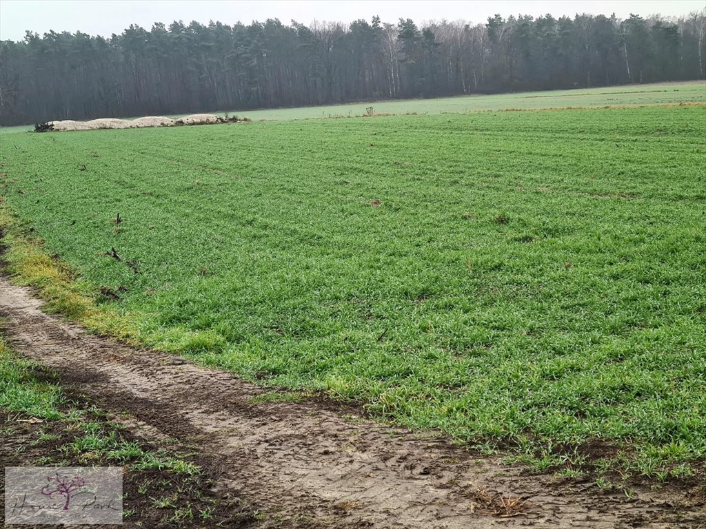 Działka budowlana na sprzedaż Gajówka, Gajówka  4 500m2 Foto 5