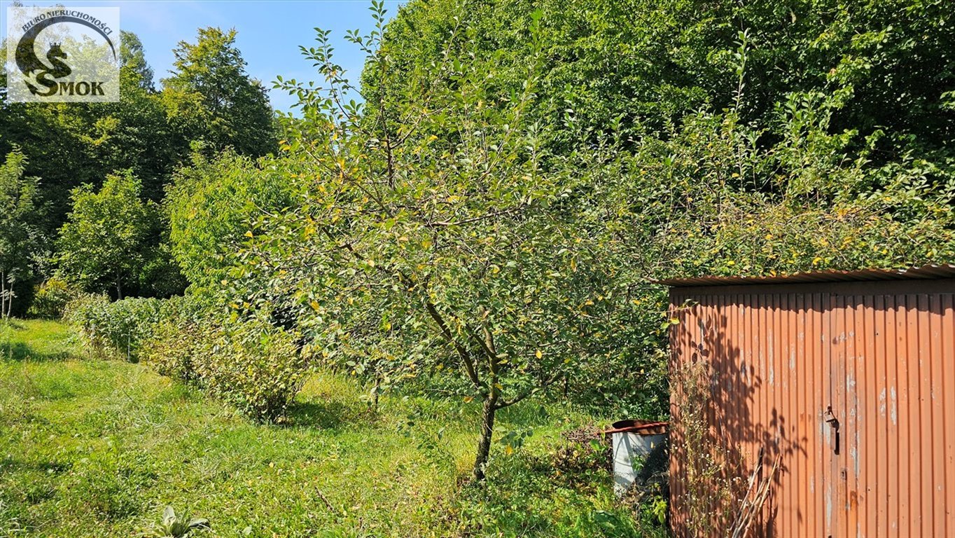 Dom na sprzedaż Biórków Wielki  240m2 Foto 7