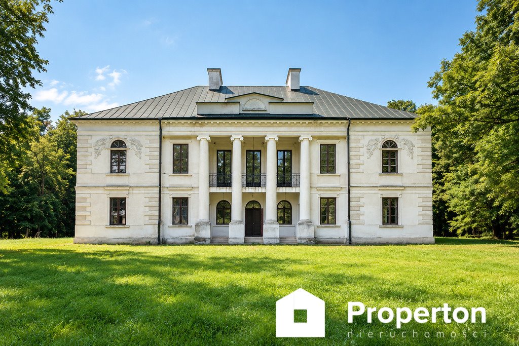 Sprzedam pałac z parkiem i stawami na 7 ha w Horodyszczu Horodyszcze, Folwark  1 000m2 Foto 1