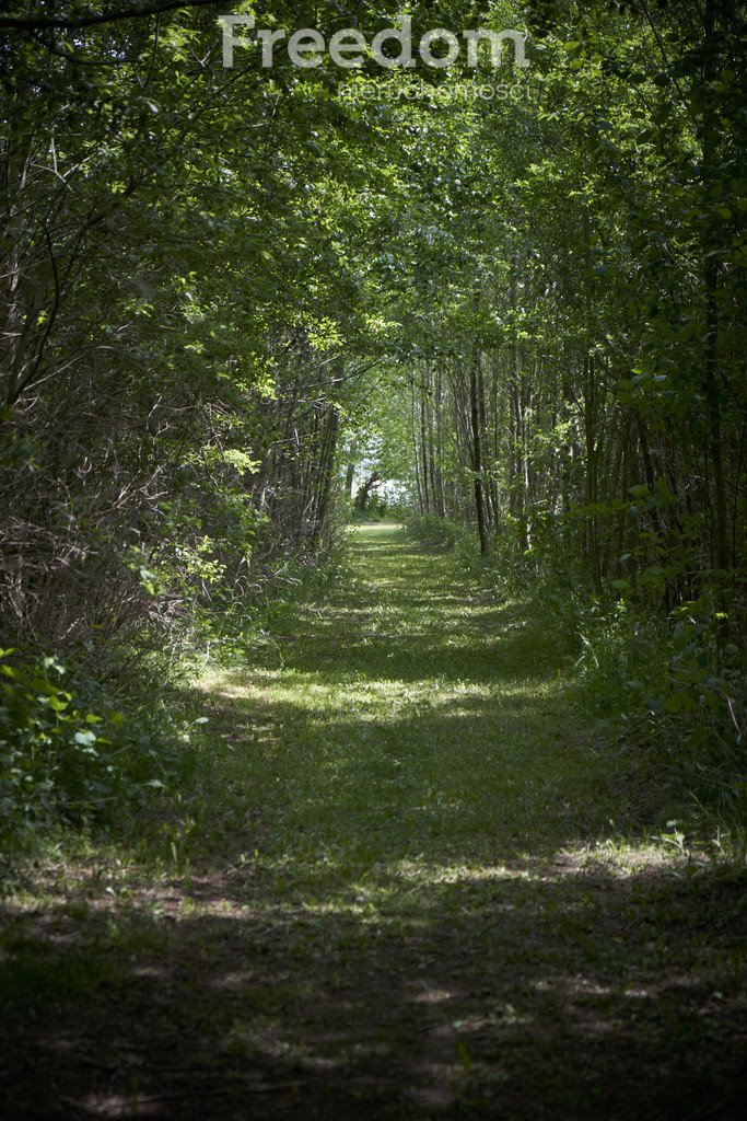 Dom na sprzedaż Odoje  250m2 Foto 8