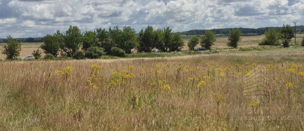 Działka 5000 m² pod zabudowę w Pobierowie z mediami Pobierowo  5 000m2 Foto 1