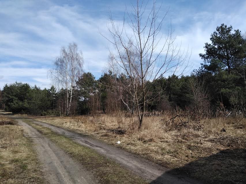 Działka inna na sprzedaż Łódź, Górna, Ziemiańska 4 200m2 Foto 1 Działka inna na sprzedaż Łódź, Górna, Ziemiańska 4 200m2 Foto 1