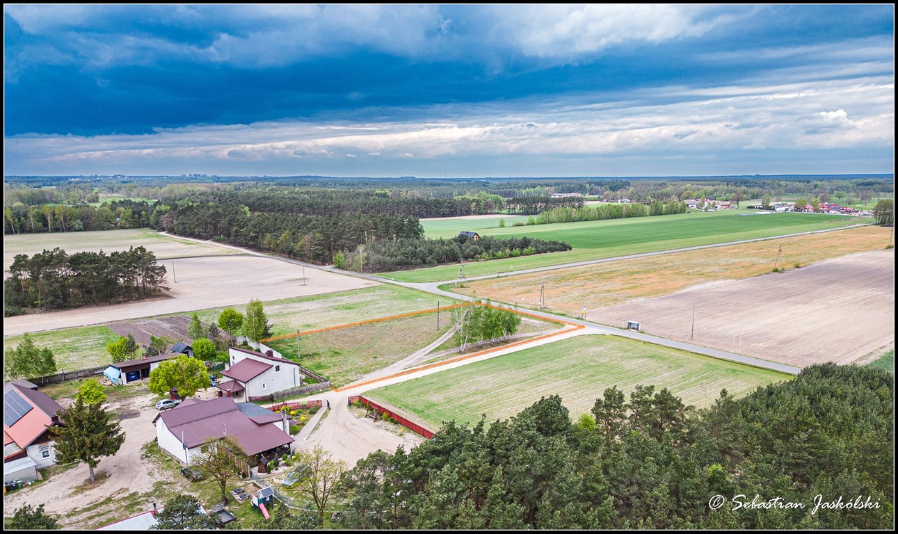 Działka rolna na sprzedaż Bibianna  3 000m2 Foto 4