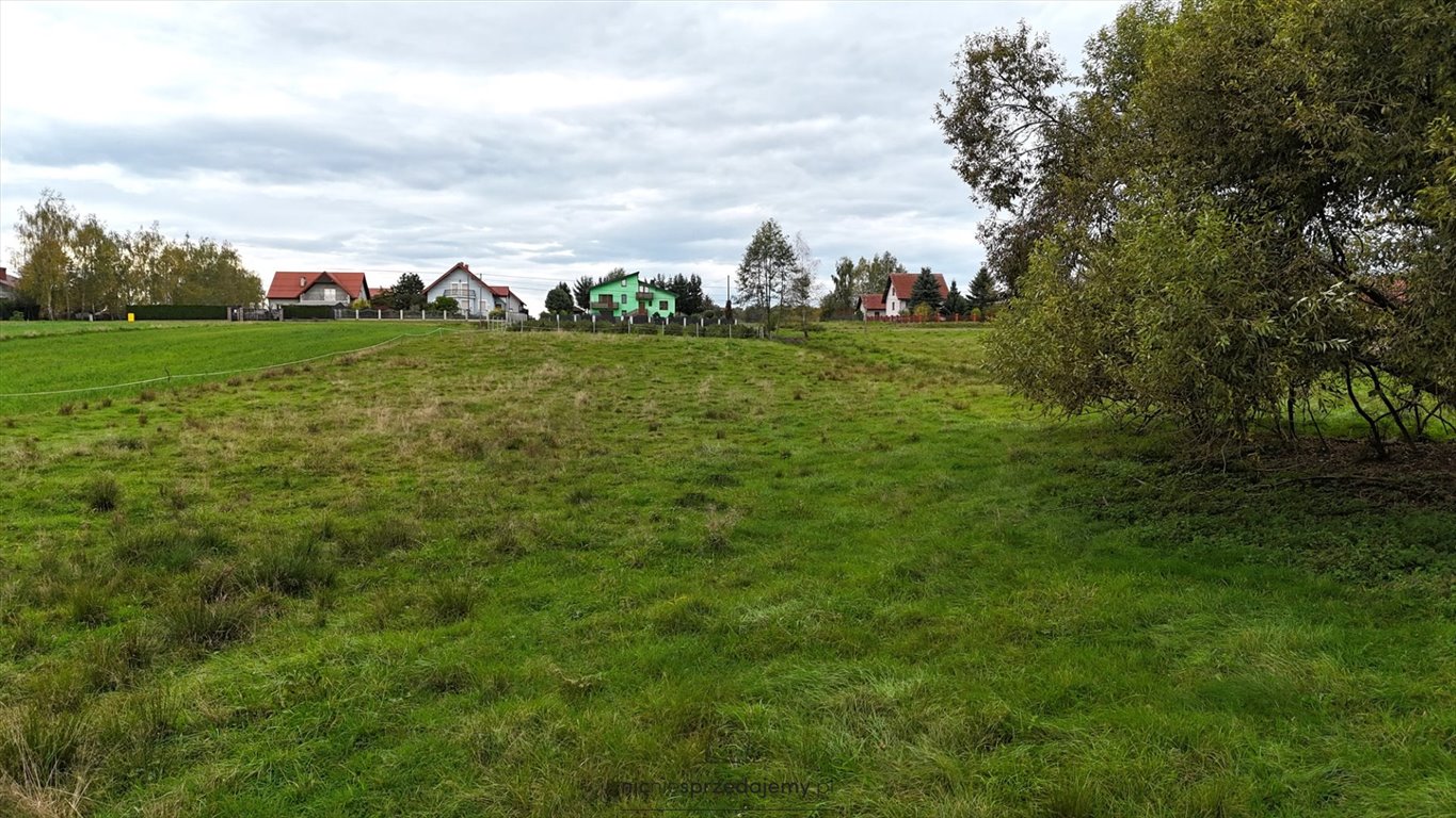 Działka budowlana na sprzedaż Czchów, Złota, Złota  1 600m2 Foto 3