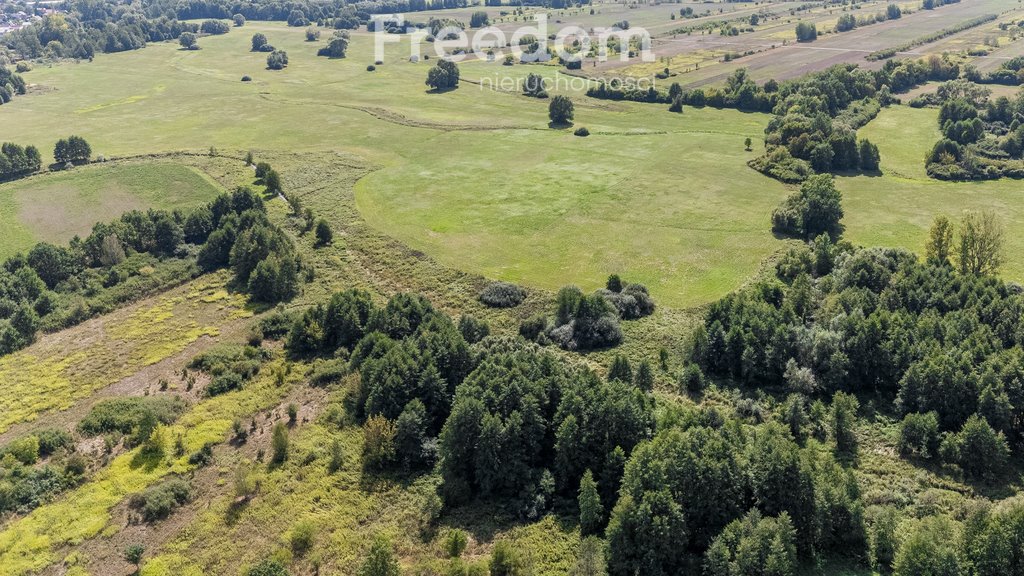 Działka rolna na sprzedaż Ostrówiec  3 924m2 Foto 9