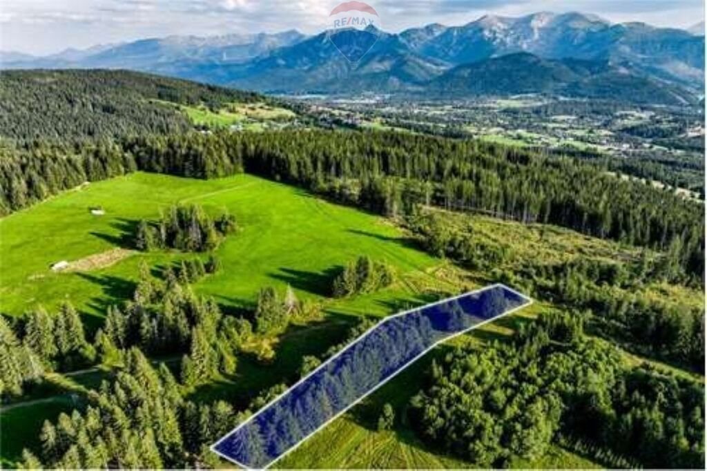 Działka rolna na sprzedaż Dzianisz  3 370m2 Foto 1