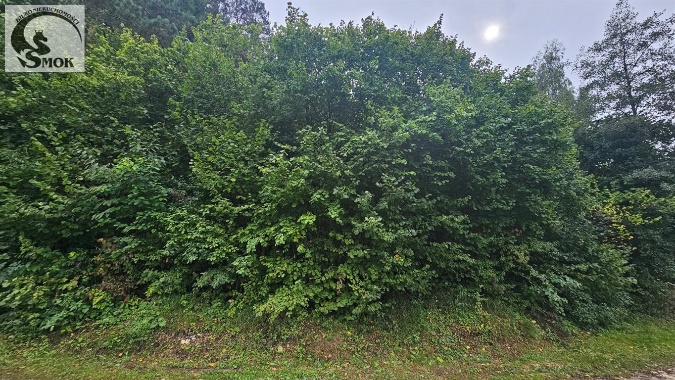 Działka 53a z lasem, dostępem do mediów, spokojna okolica Niebyła  5 278m2 Foto 1