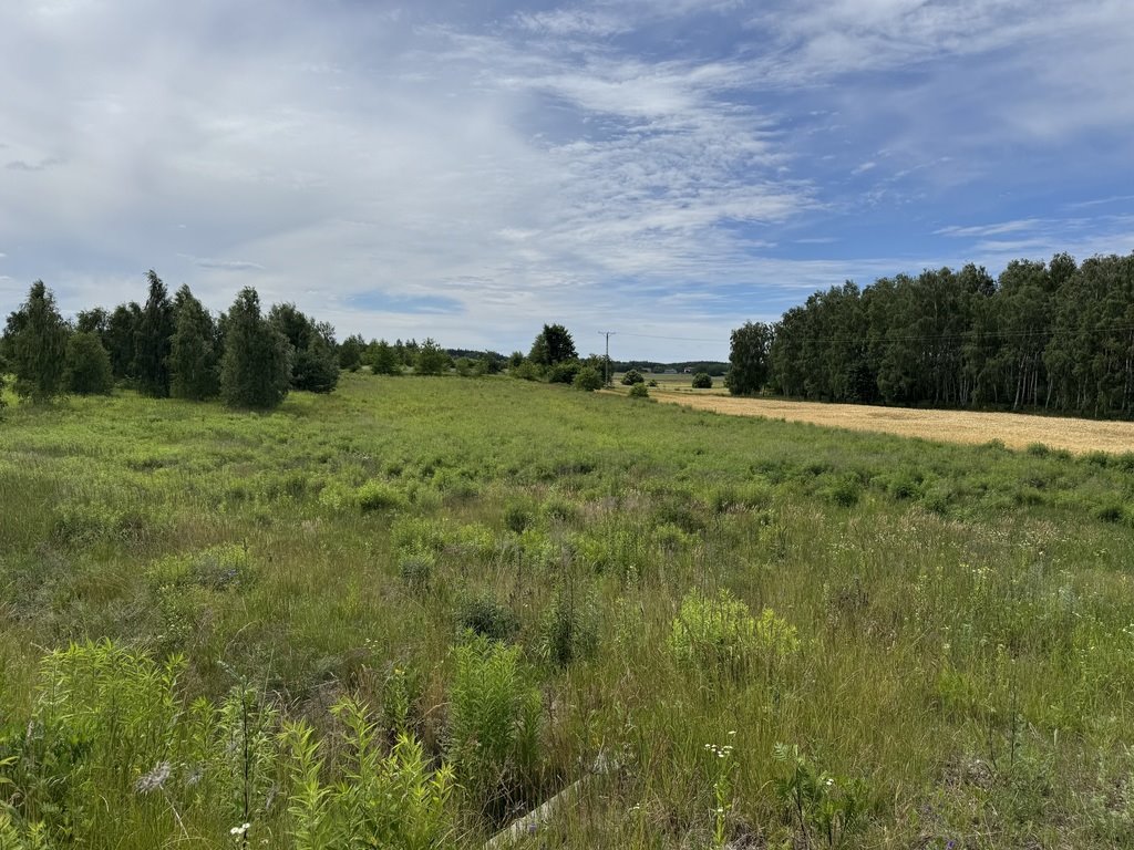 DZIAŁKA ROLNA NR 112/11 O POWIERZCHNI 7 256 m² – N Natolin  7 256m2 Foto 1