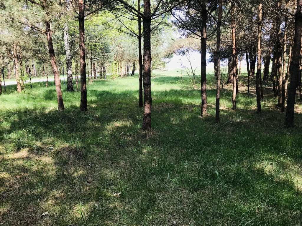 Działka budowlana na sprzedaż Fałków, Leśna  3 400m2 Foto 1