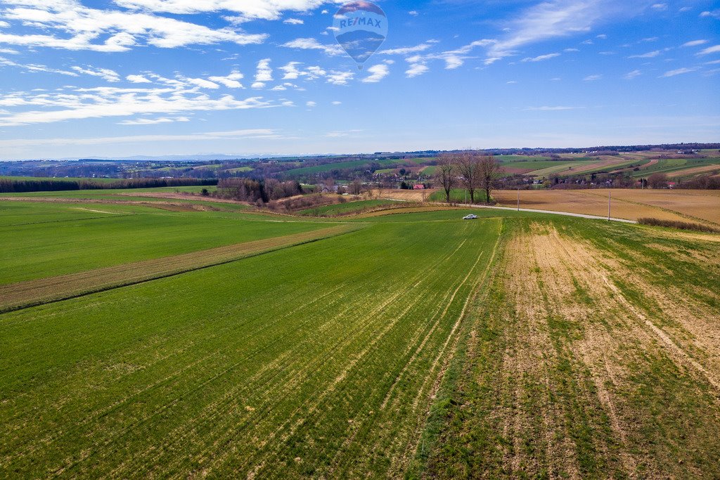 Działka budowlana na sprzedaż Grzegorzowice Wielkie  3 200m2 Foto 11