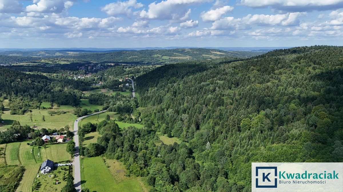 Działka rolno-leśna 8,64 ha Iwla - zalesienie i dopłaty Iwla  86 400m2 Foto 1