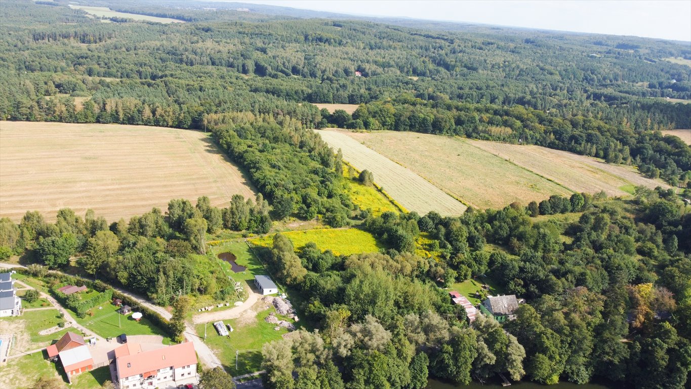 Działka rolna na sprzedaż Krąg  2 936m2 Foto 9