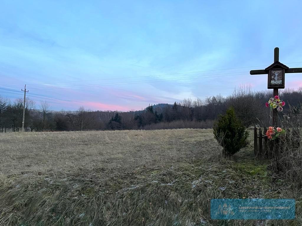 Działka budowlana na sprzedaż Brzeziny  1 700m2 Foto 4