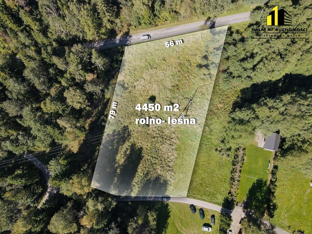 Działka rolna na sprzedaż Jeleśnia  4 450m2 Foto 2