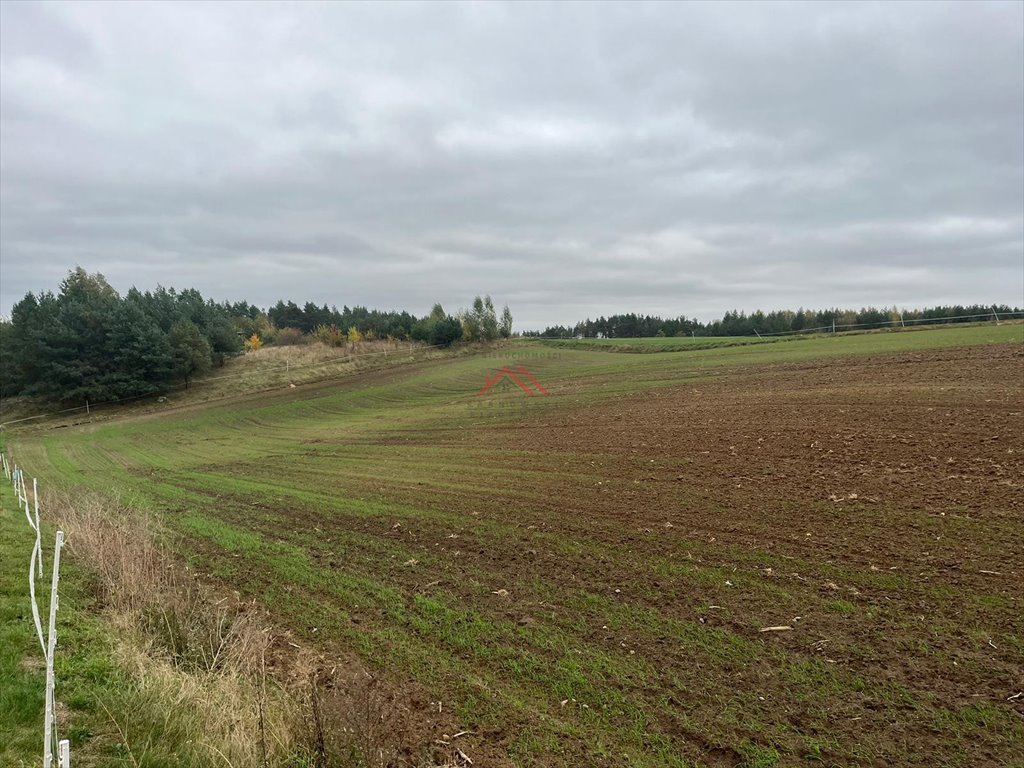 Działka budowlana na sprzedaż Szabda, Na Zamek  820m2 Foto 5