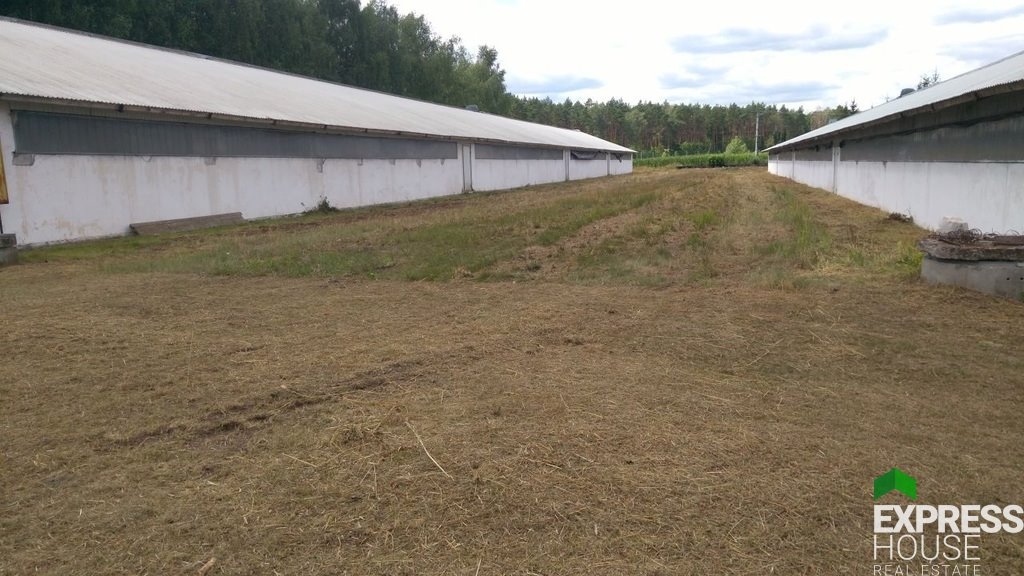 Lokal użytkowy na sprzedaż Skwierzyna, Spokojna  5 200m2 Foto 6