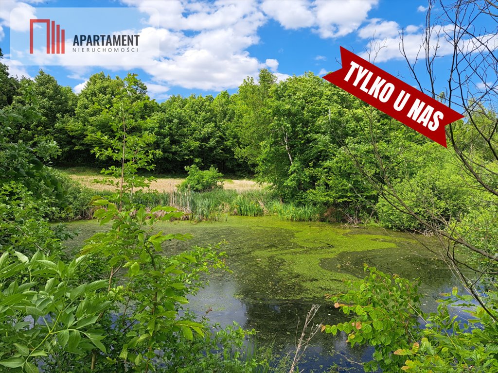 Działka gospodarstwo rolne na sprzedaż Radzynek  3 000m2 Foto 5