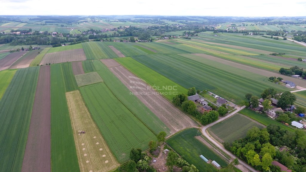 Działka budowlana na sprzedaż Wężerów  15 002m2 Foto 5