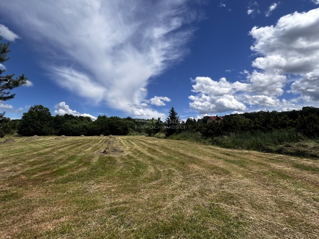 Działka budowlana na sprzedaż Skrzyszów  836m2 Foto 3