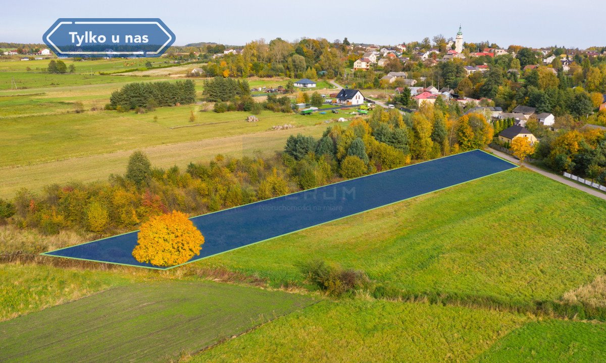 Działka budowlana na sprzedaż Przybynów, Łąkowa  3 173m2 Foto 3