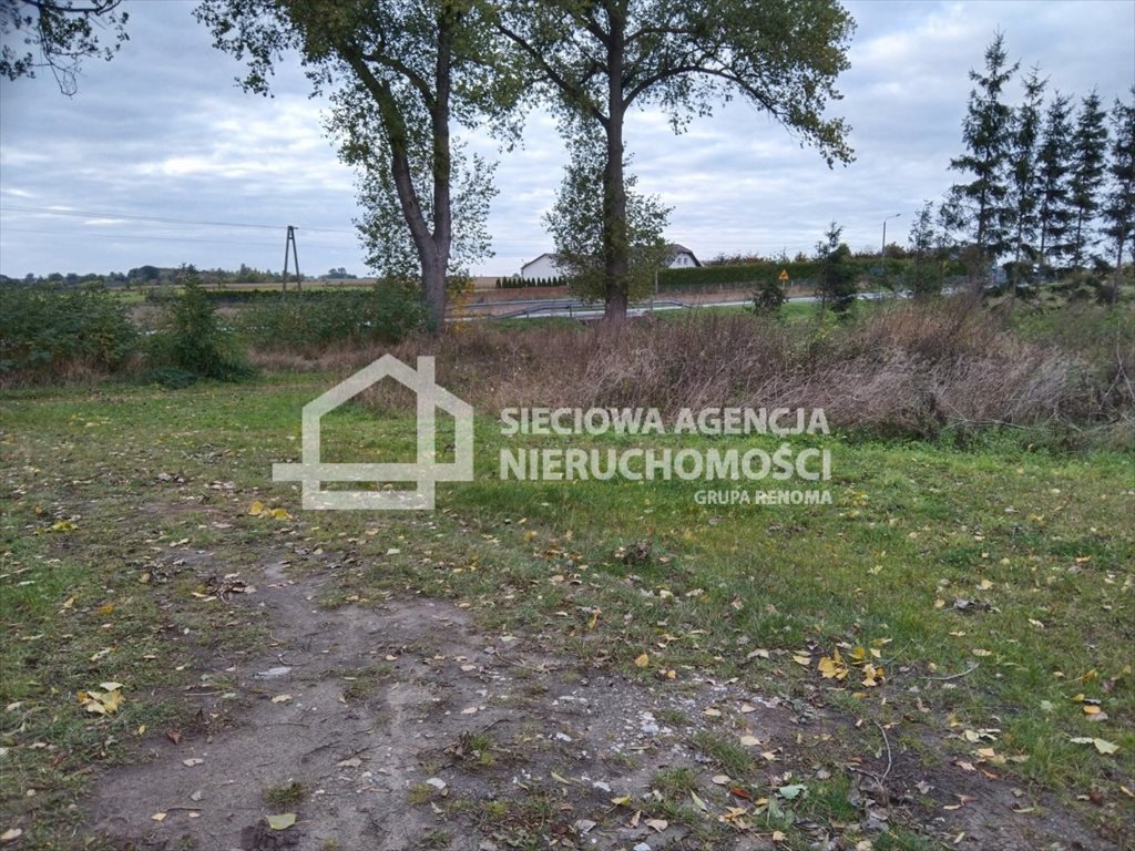 Działka przemysłowo-handlowa na sprzedaż Grochowiec  2 330m2 Foto 5