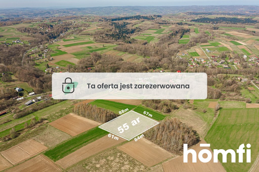 Widokowa działka 55 ar w Szkodnej – spokój i natura Szkodna  5 500m2 Foto 1