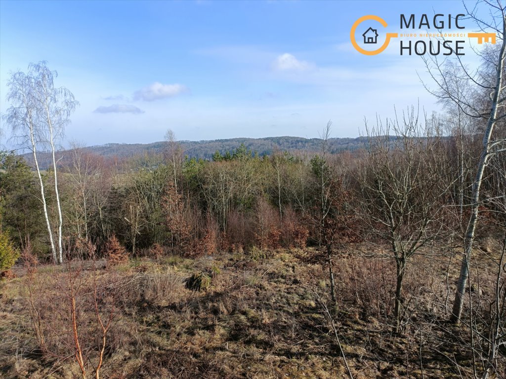 Malownicza działka 12 618 m2 z widokiem na dolinę Stara Huta, Perłowa  12 618m2 Foto 1