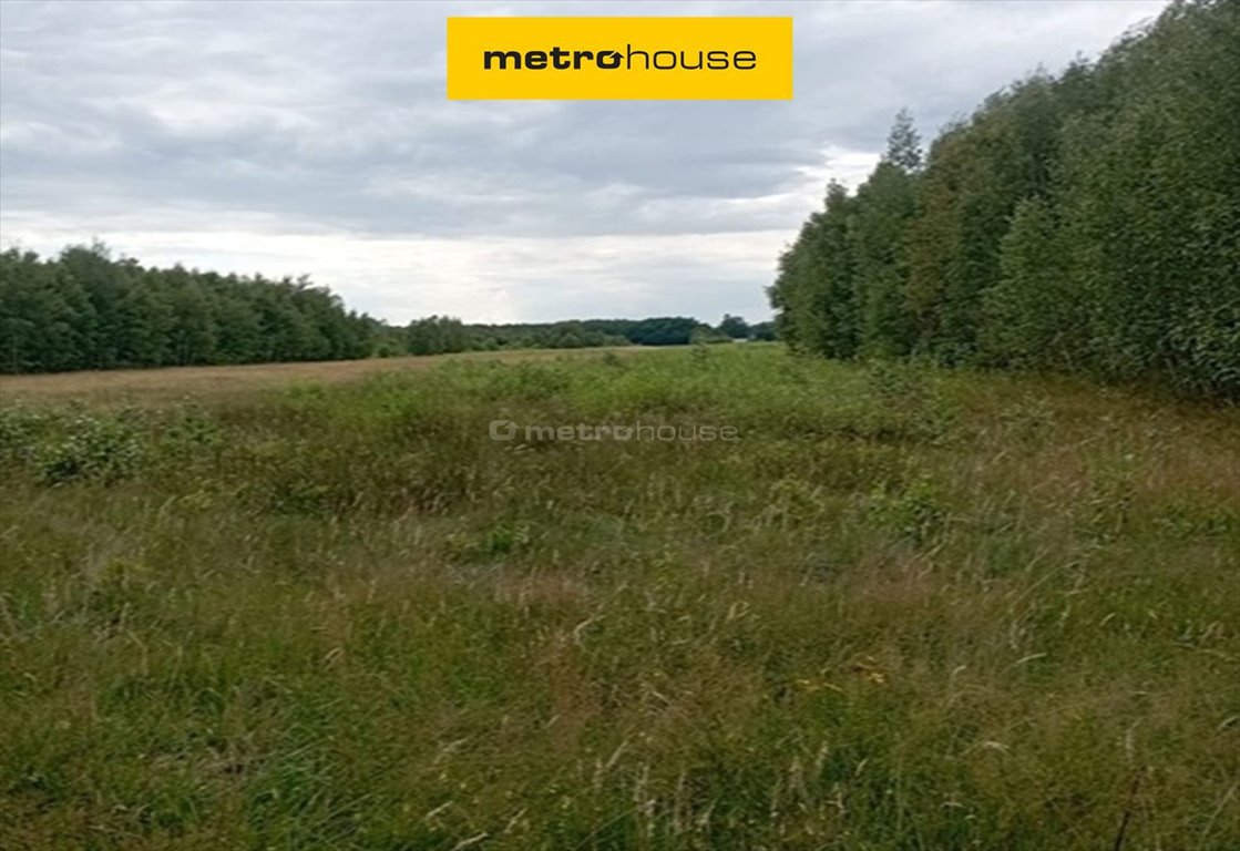 Działka inna na sprzedaż Helenów  3 000m2 Foto 1