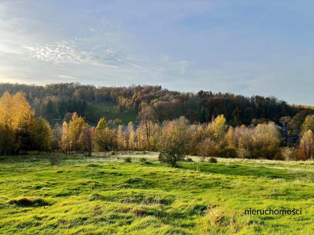 Działka budowlana na sprzedaż Krobica  9 929m2 Foto 10