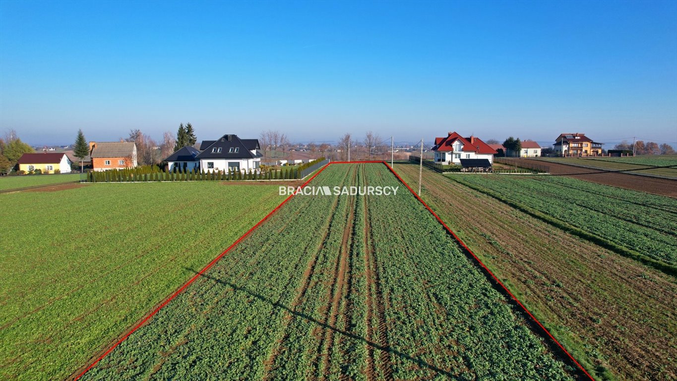 Działka budowlana na sprzedaż Celiny, Widokowa  4 200m2 Foto 11