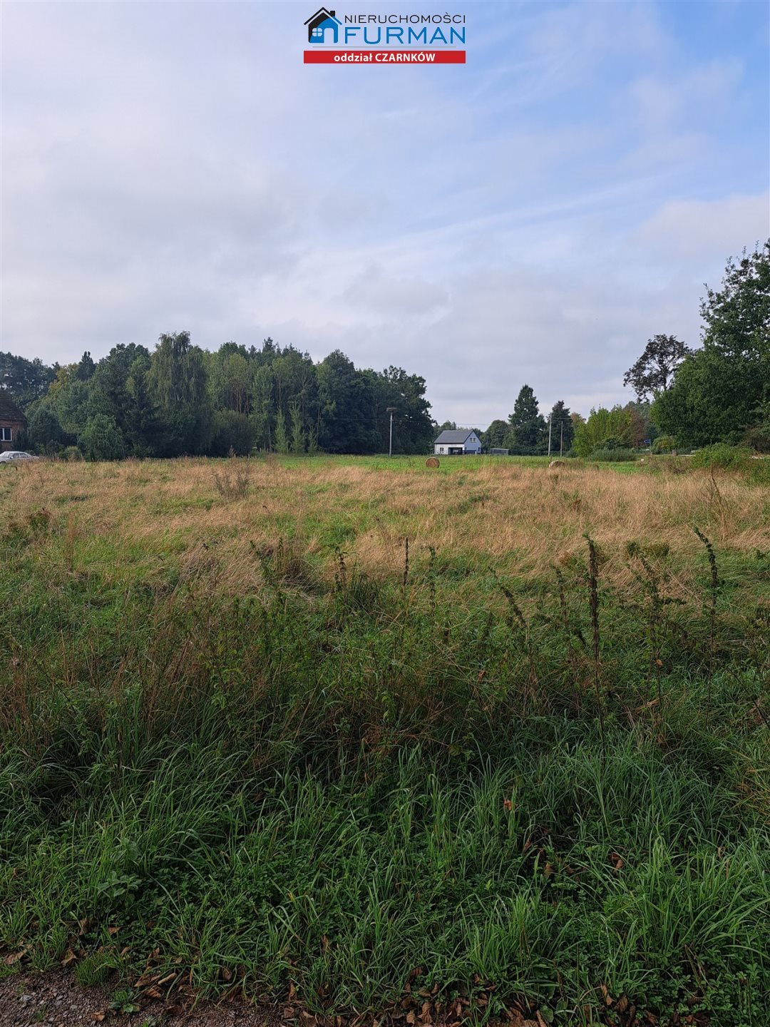 Działka budowlana na sprzedaż Zofiowo  3 005m2 Foto 1