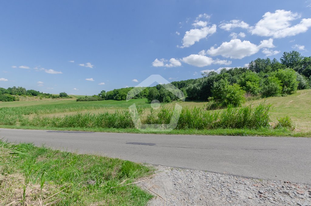 Dom na sprzedaż Wiśniowa  100m2 Foto 13