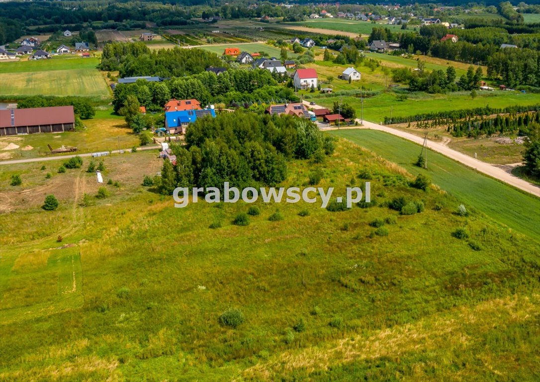 Działka budowlana na sprzedaż Kuriany  7 371m2 Foto 6