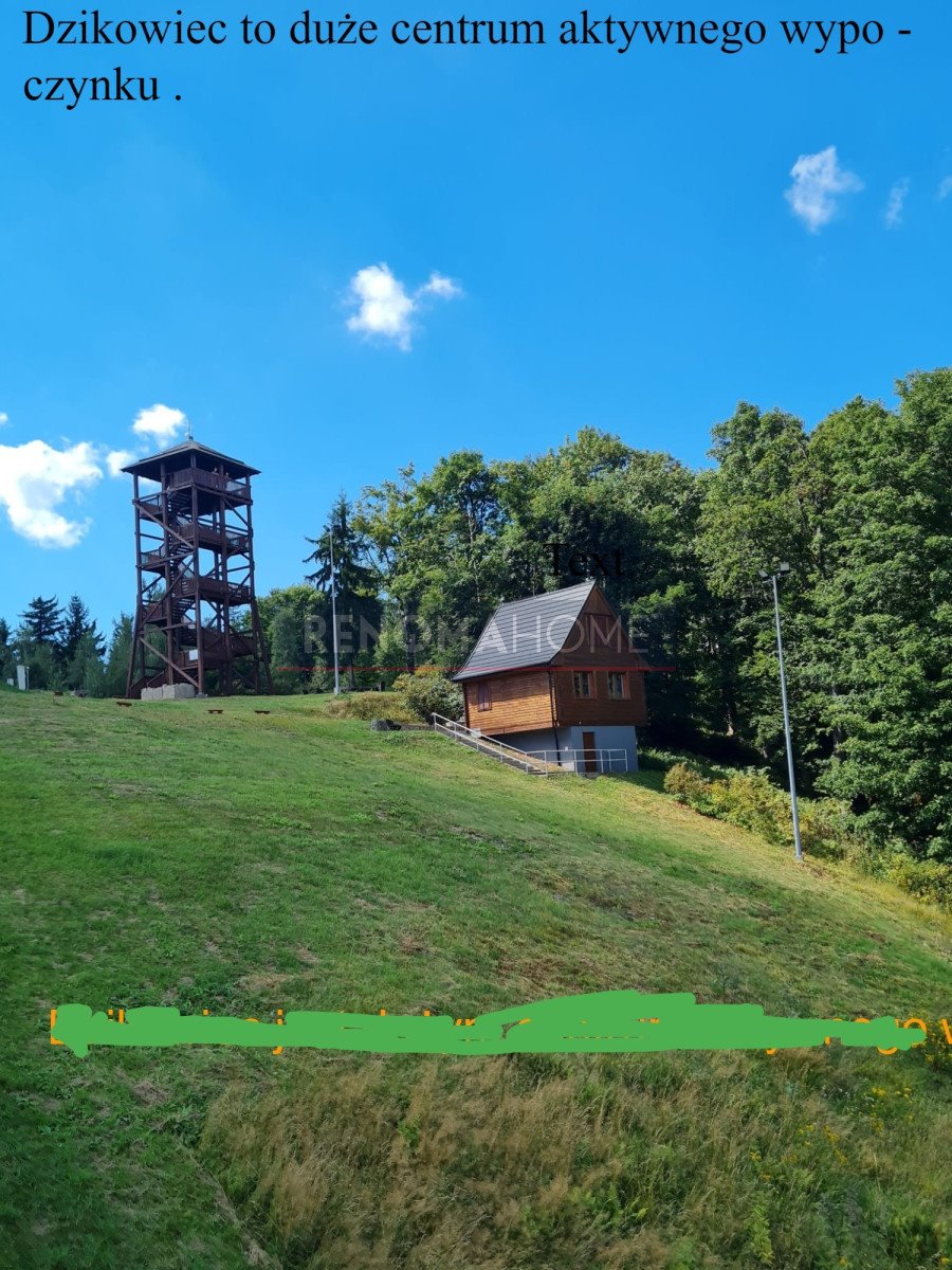 Działka budowlana na sprzedaż Boguszów-Gorce  9 510m2 Foto 8