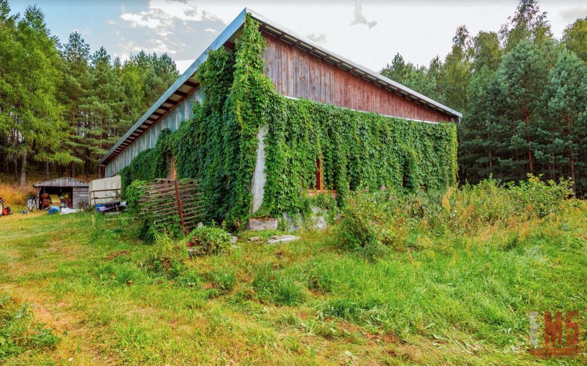 Dom na sprzedaż Plebanowo  83 800m2 Foto 16