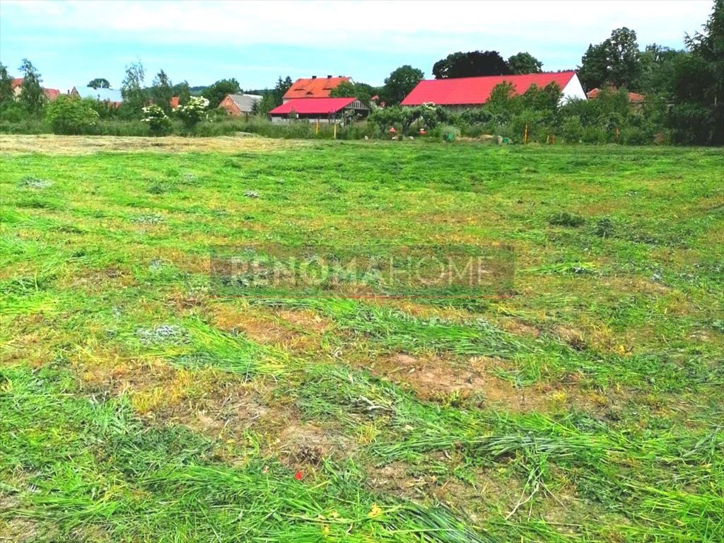 Działka budowlana na sprzedaż Książnica  1 200m2 Foto 4